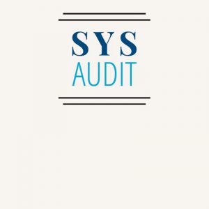 SYS Audit, SYS Audit Oy